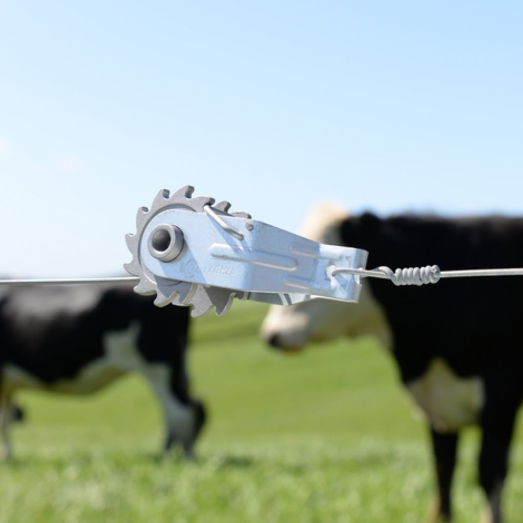 Tensor estandar galvanizado Pack 25 unidades Gallagher