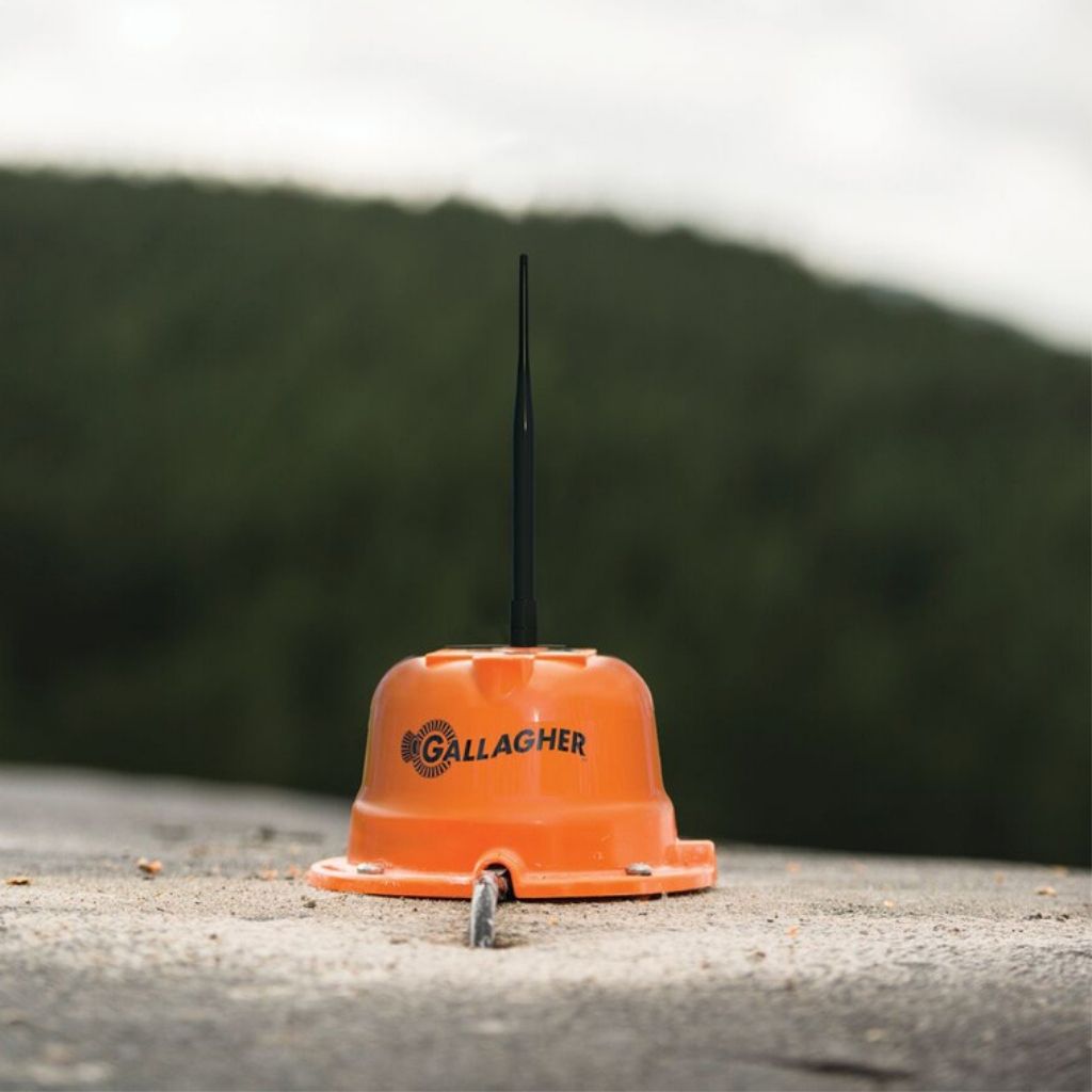 Unidad de Tanque 4M Sensor Gallagher